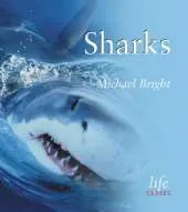 Sharks