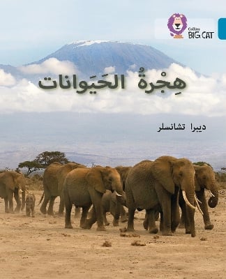 Animal Migration: Level 13