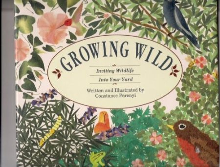 Growing Wild: Inviting Wildlife into Your Yard