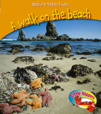 A Walk on the Beach