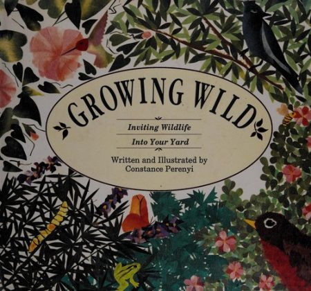 Growing Wild: Inviting Wildlife into Your Yard