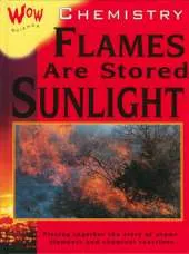 Wow Science: Chemistry-Flames are Stored Sunlight
