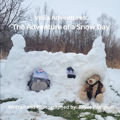 Veli's Adventures: The Adventure of a Snow Day