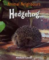 Hedgehog