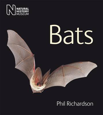 Bats