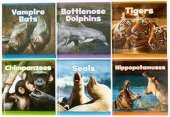 Mammals in the Wild Pack A of 6