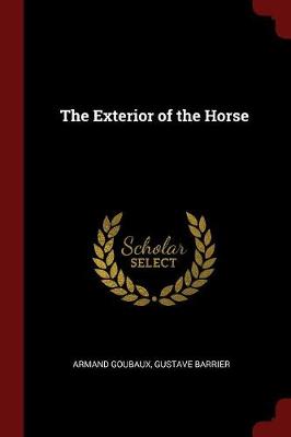 The Exterior of the Horse