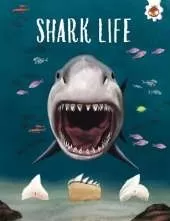 SHARK LIFE: Shark Safari      STEM