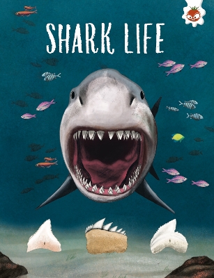 SHARK LIFE: Shark Safari      STEM