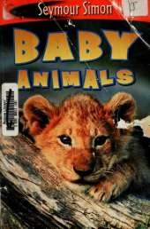 Baby Animals