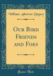 Our Bird Friends and Foes (Classic Reprint)