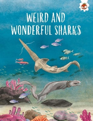 WEIRD AND WONDERFUL SHARKS: Shark Safari   STEM