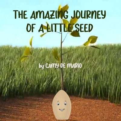 The Amazing Journey of a Little Seed