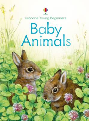 Baby Animals