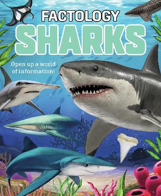 Factology: Sharks: Open Up a World of Information!