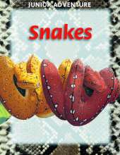 Snakes