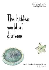 The hidden world of diatoms