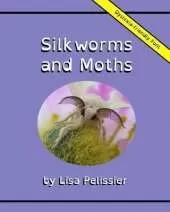 Silkworms and Moths
