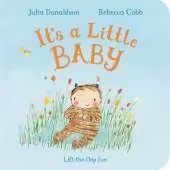 It's a Little Baby: Lift-the-flap Fun