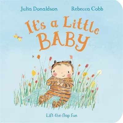It's a Little Baby: Lift-the-flap Fun
