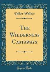 The Wilderness Castaways (Classic Reprint)