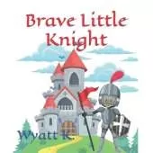Brave Little Knight