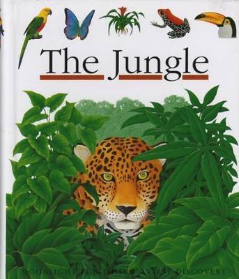 The Jungle