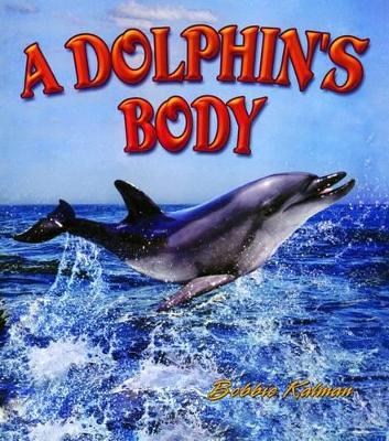 Dolphins Body
