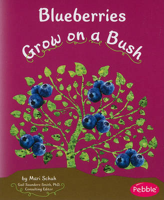Blueberries Grow on a Bush