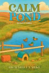 Calm Pond