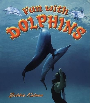 Fun With Dolphins