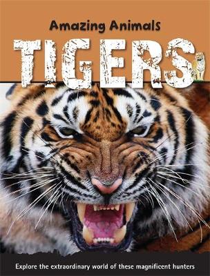 Amazing Animals: Tigers