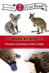 Curious Creatures Down Under: Level 2