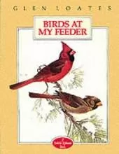 Birds at My Feeder