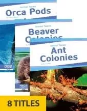Animal Teams (Set of 8)