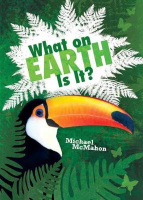Pocket Worlds Non-fiction Year 2: What on Earth Is It?