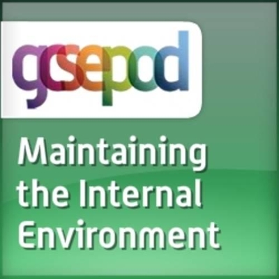 Humans as Living Organisms: Maintaining the Internal Environment