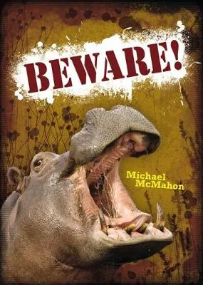Pocket Worlds Non-fiction Year 3: Beware!