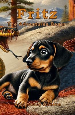 Fritz: The Adventures Begin