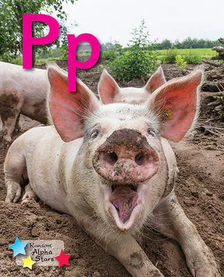Alpha Stars Pp