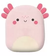 Squish and Snugg Groovy Axolotl