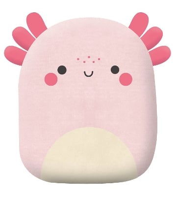 Squish and Snugg Groovy Axolotl