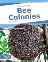 Bee Colonies