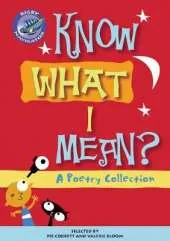 Navigator Poetry: Year 4 Grey Level Know What I Mean