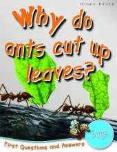 1st Questions and Answers Bugs: Why Do Ants Cut Up Leaves?