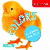 Colors