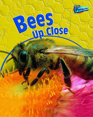 Bees Up-close
