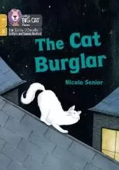 The Cat Burglar: Phase 5 Set 1