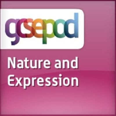 Current Religious Issues: Nature and Expression