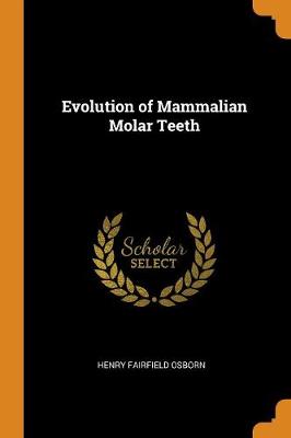 Evolution of Mammalian Molar Teeth